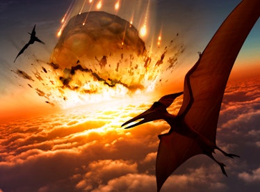 Dinosaurs see asteroid event