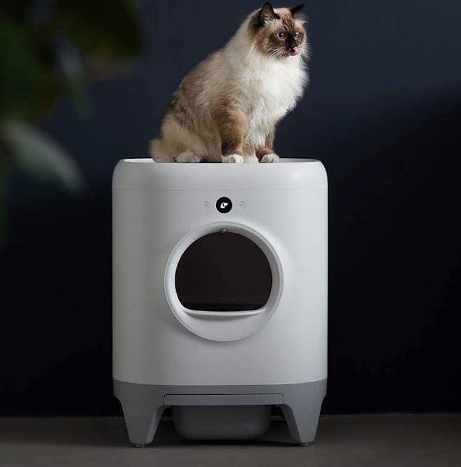 PETKIT Pura X Smart Litter Box