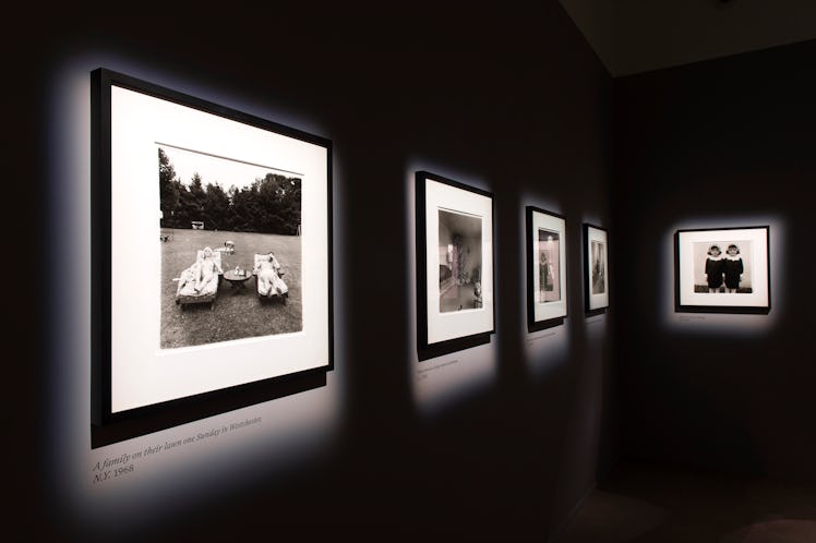 Diane Arbus's works displayed next to one another on a black wall 