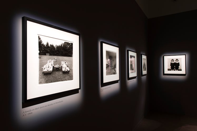 Diane Arbus's works displayed next to one another on a black wall 