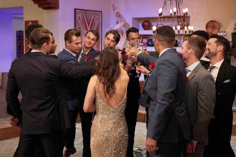 Katie Thurston toasting her 'Bachelorette' Season 17 contestants via ABC's press site
