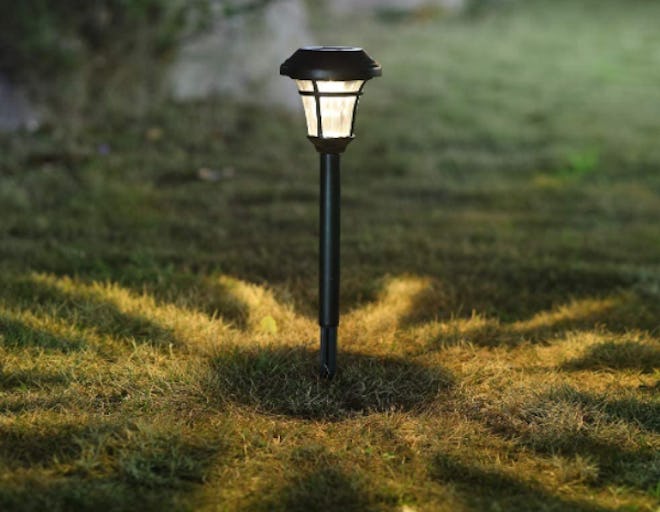 MAGGIFT Solar Pathway Lights (12-Pack)