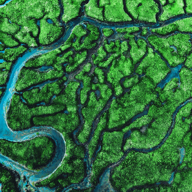 Green earth with rivers flowing