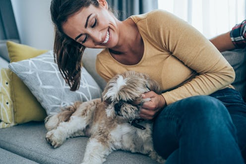 10 signs your dog loves you, according to an expert.