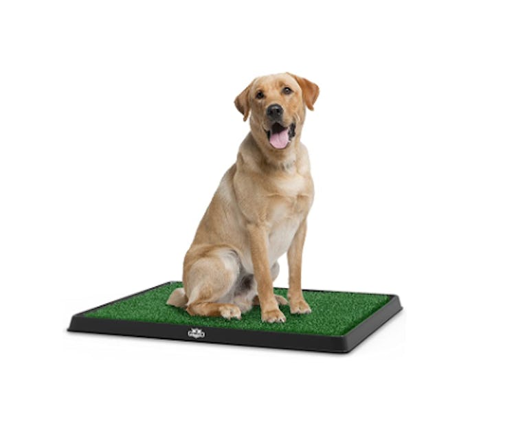 PETMAKER Artificial Grass Puppy Pad