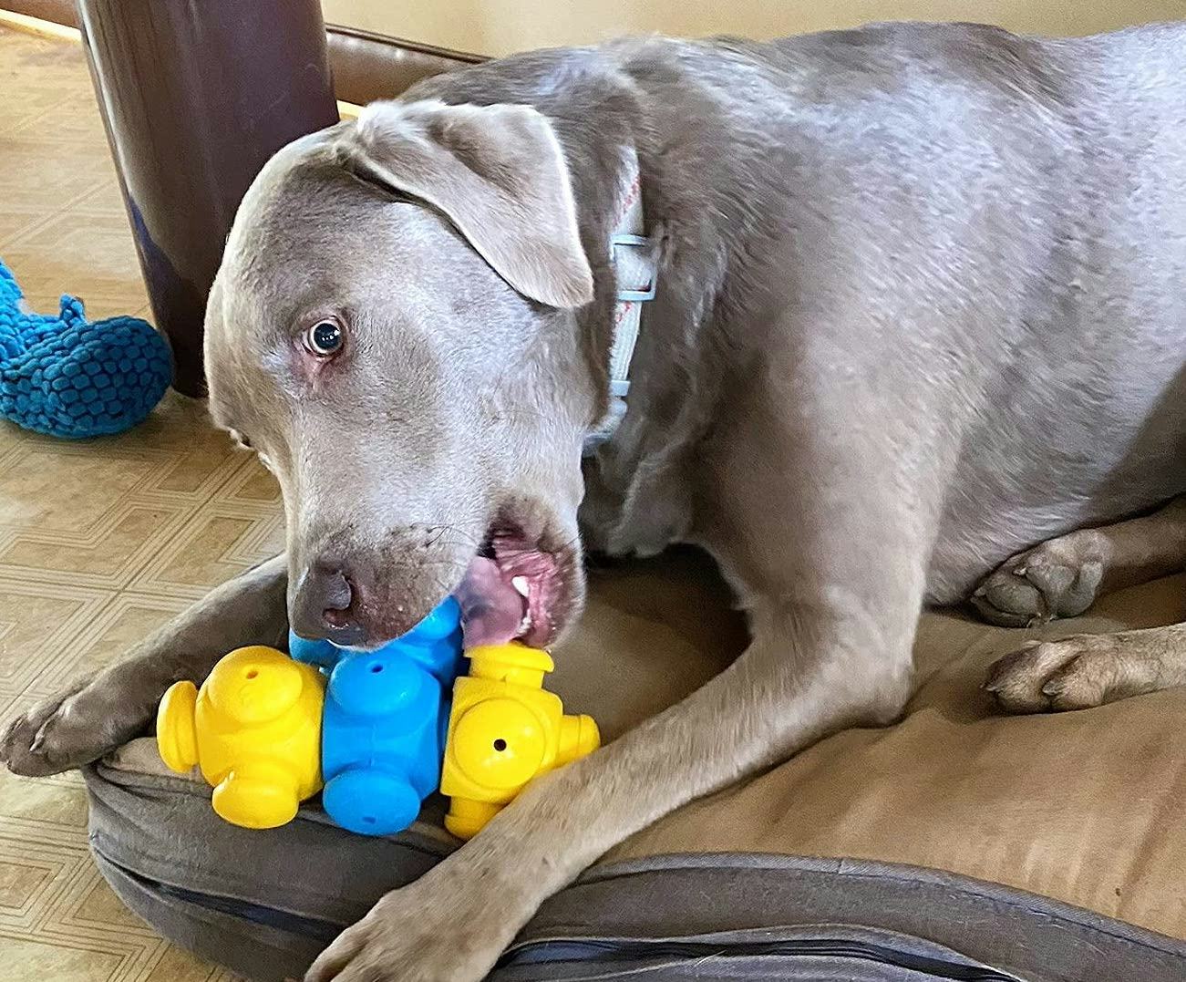 The 5 Best Toys For Smart Dogs