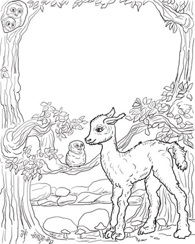 a kids coloring page featuring a cute llama baby next to an owl on a branch