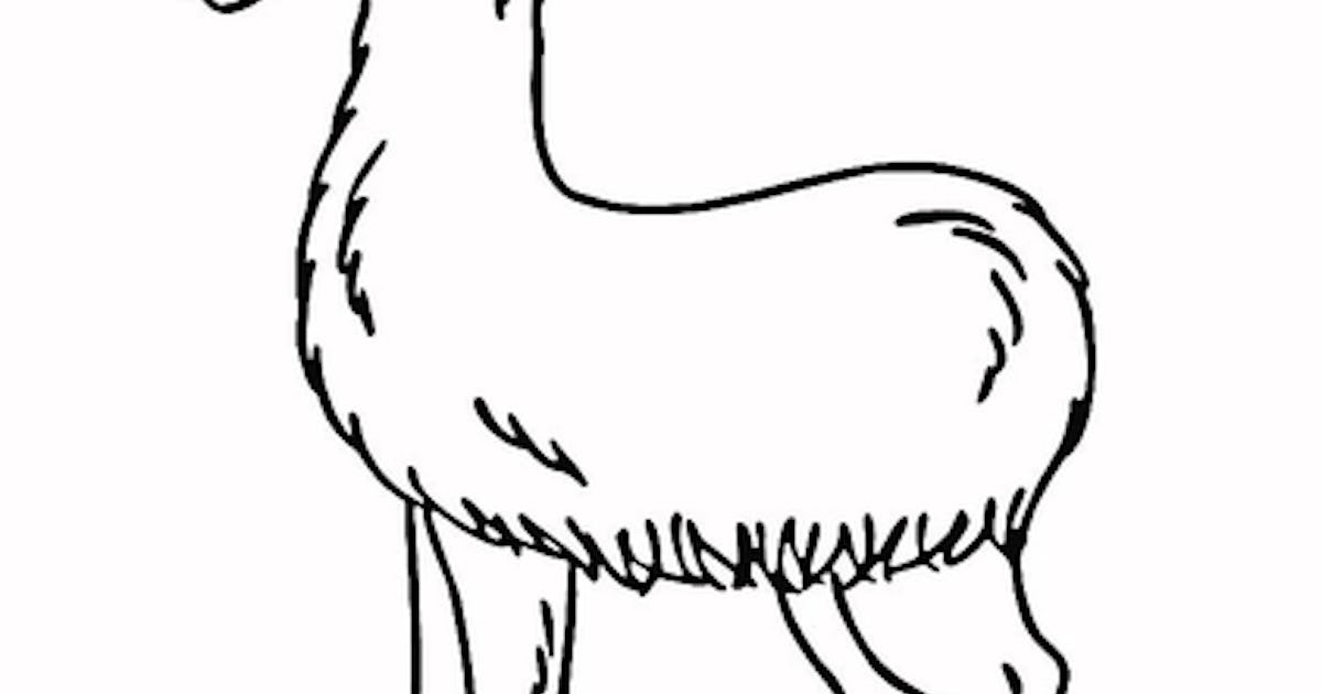 19 cute llama coloring pages you can print to your heart s content