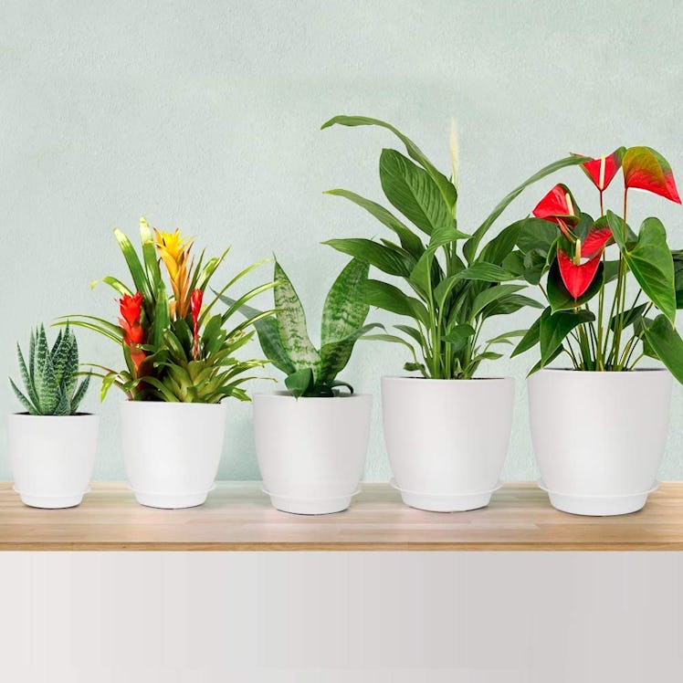 HOMENOTE Flower Pot (Set of 5)