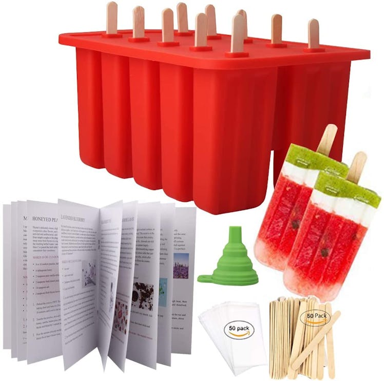 Homemade Ice Pop Molds & Kit