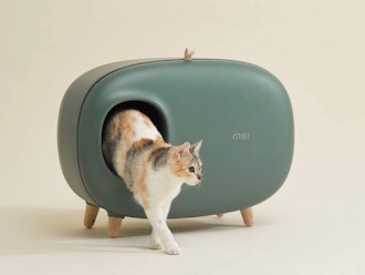 Stylish Cat Litter Box For Small Spaces