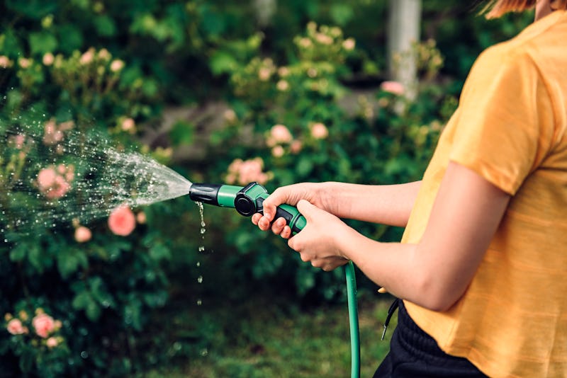 The 4 Best Garden Hoses