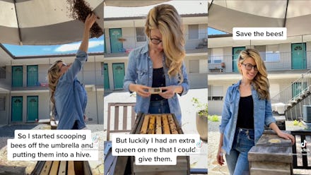 Tiktok beekeper faking her various videos
