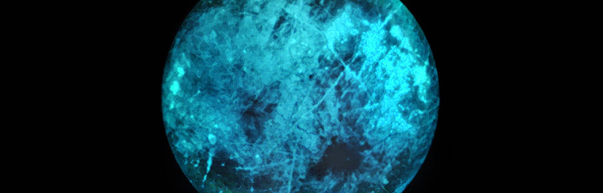 europa illustration from NASA