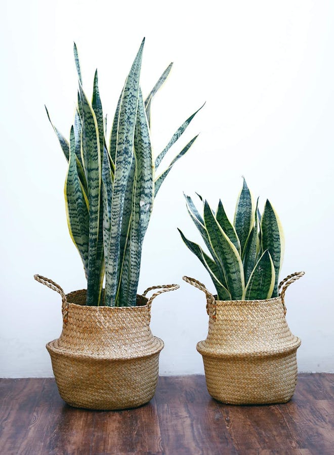 POTEY Seagrass Hand Woven Plant Basket (Set of 2)