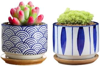 GeLive Japanese Ceramic Succulent Planter (Set of 2)