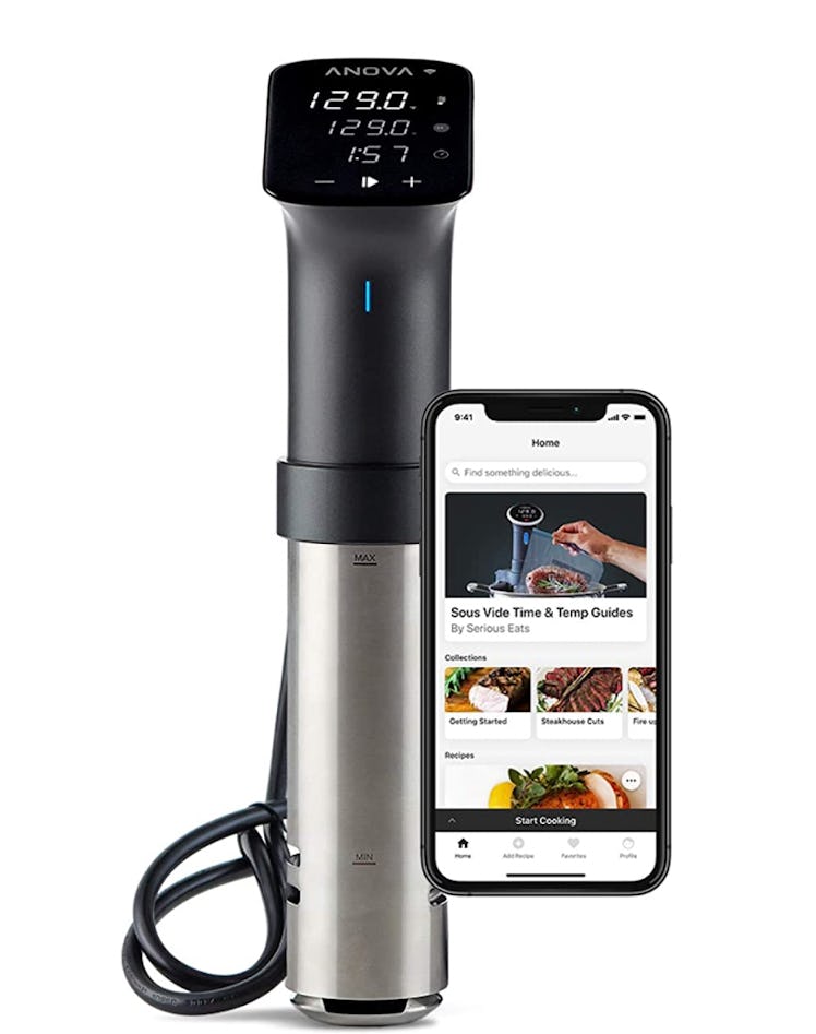 Anova Culinary Sous Vide Precision Cooker Pro