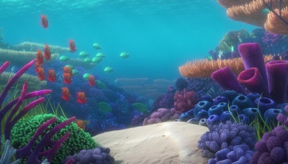 'Dory's Reef Cam' is a three hour streaming background on Disney+.