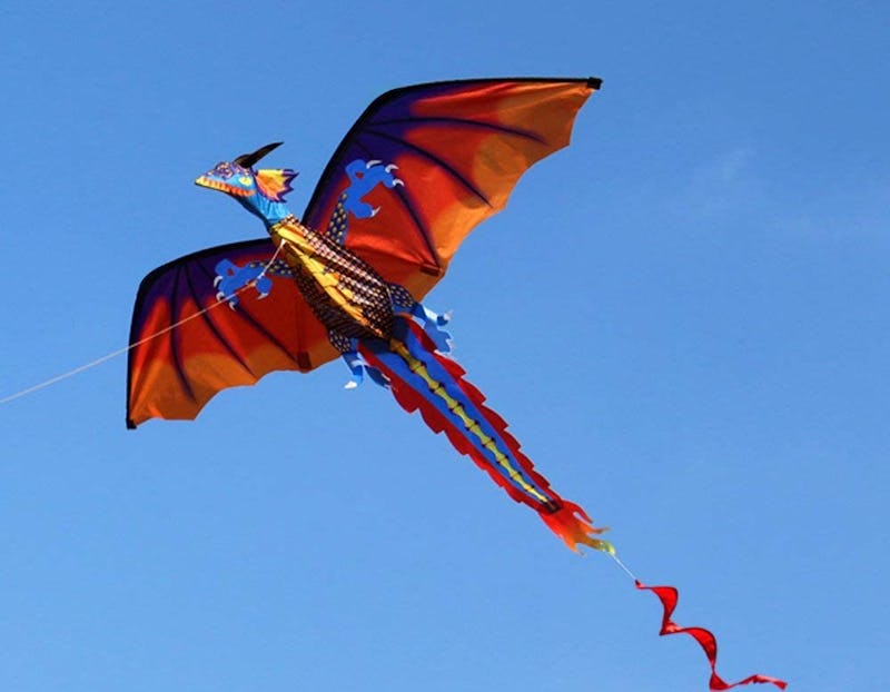 The 6 Best Beach Kites