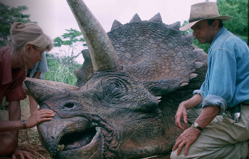 'Jurassic Park' is based on a novel by Michael Crichton.