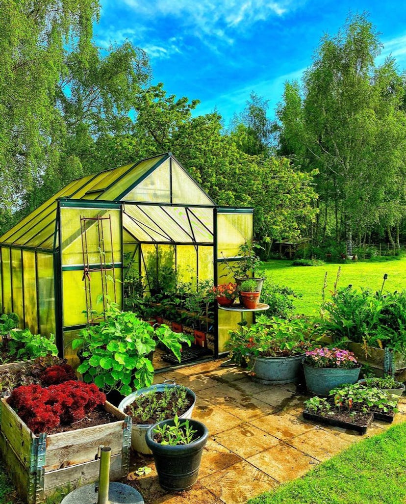 a green house with its doors open on a patio with potted vegetables