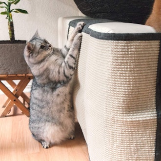 This is the best couch arm cover and cat scratch pad.