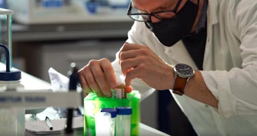 Scientist in lab creates alternative to single-use plastics