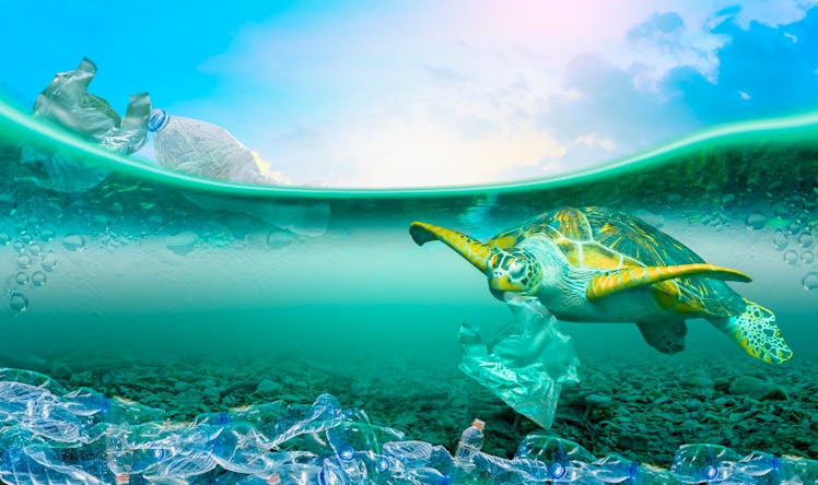 Sea turtle surrounded by plastic