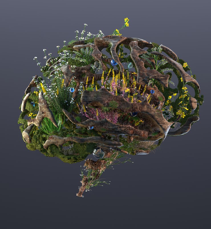 brain with plants and flowers