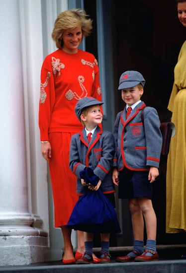 Royals Diana, Harry, and William