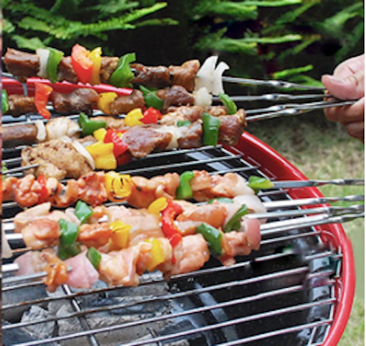 LANNEY Kabob Skewers (12-Pack) 