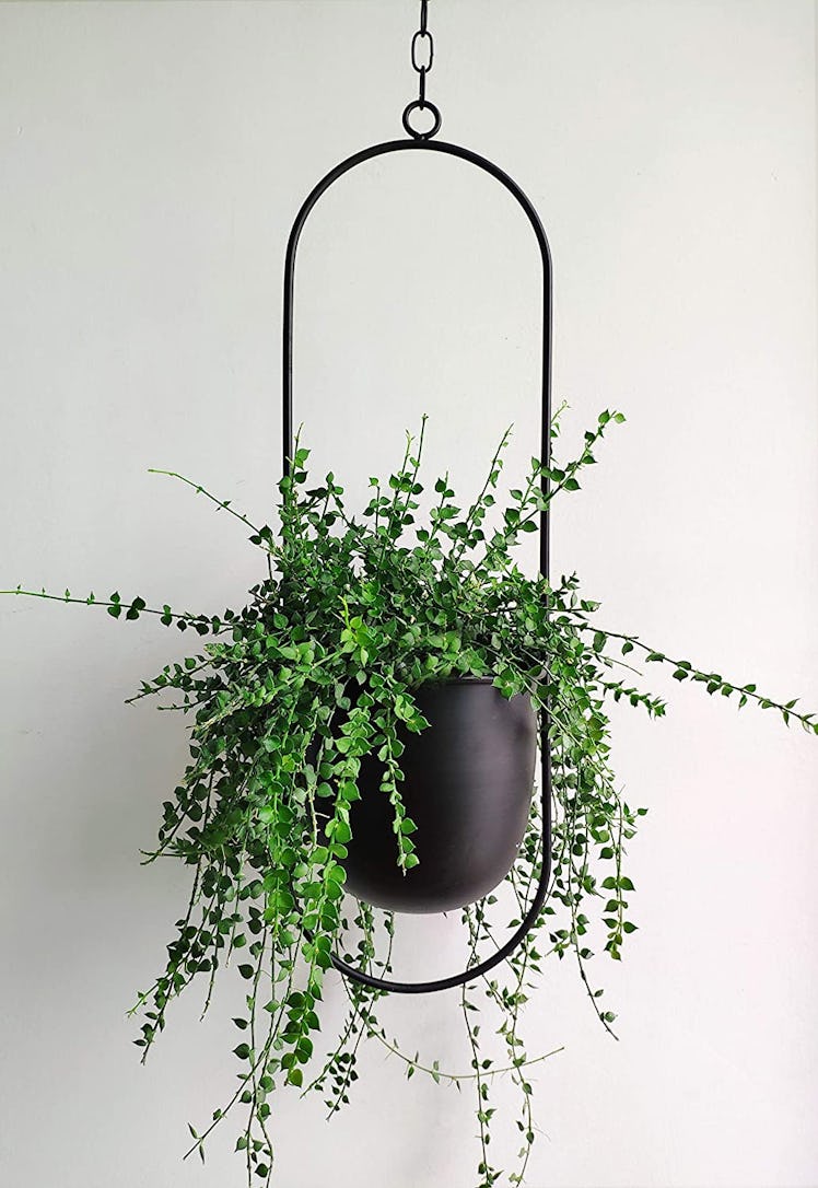 RISEON Boho Black Metal Plant Hanger