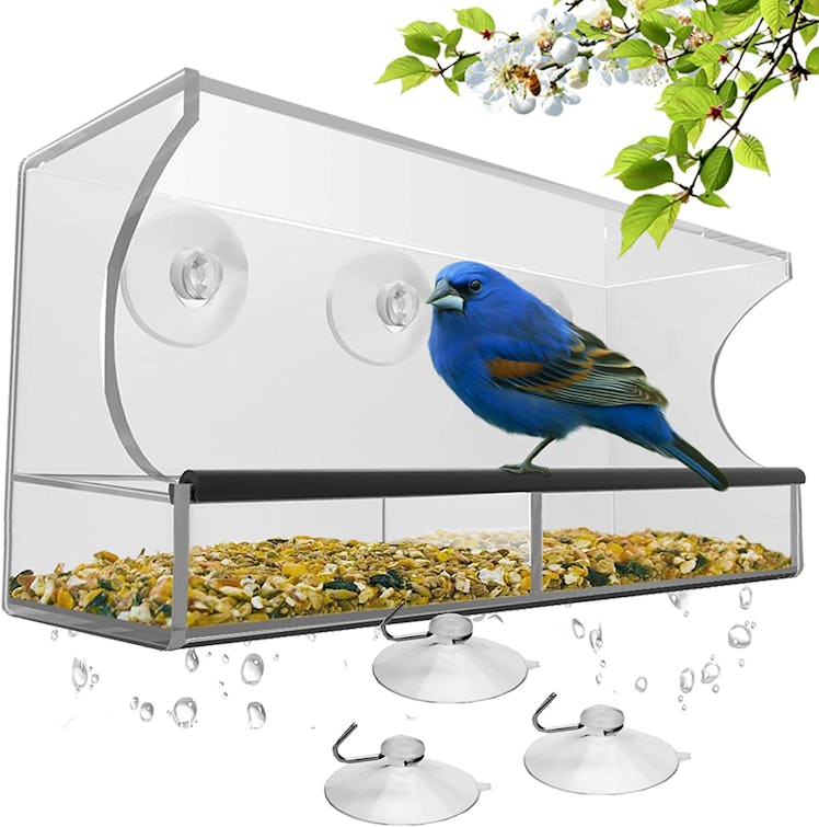 Window Bird Feeder