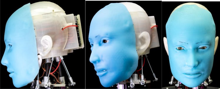 eva robot face and skull