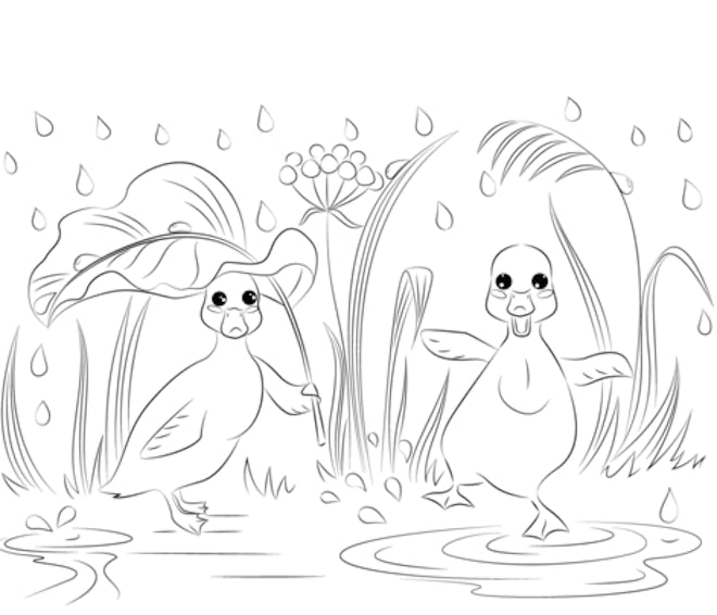 Ducks In Rain