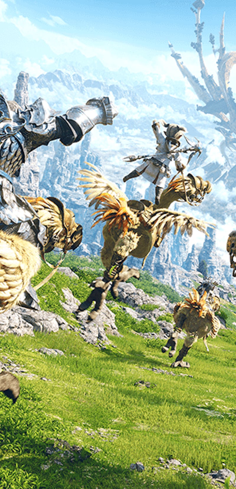 Final Fantasy 14 chocobos running through field