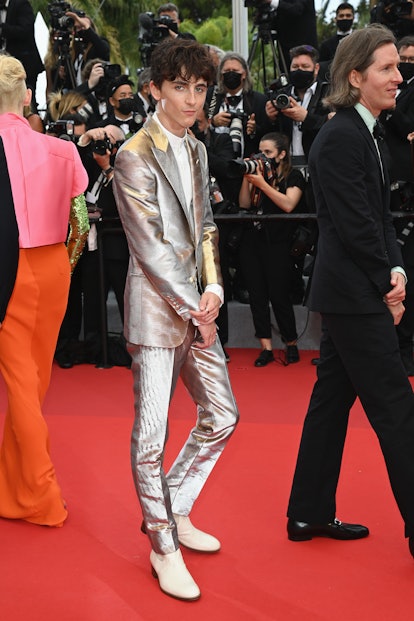 Timothée Chalamet Returns to the Red Carpet in a Very Shiny Suit