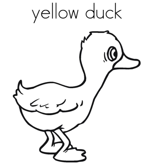 Yellow Duck