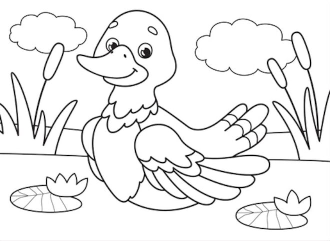 22 Cute Duck Coloring Pages For Toddlers & Kids 22-cute-duck-coloring-pages-for-toddlers-kids
