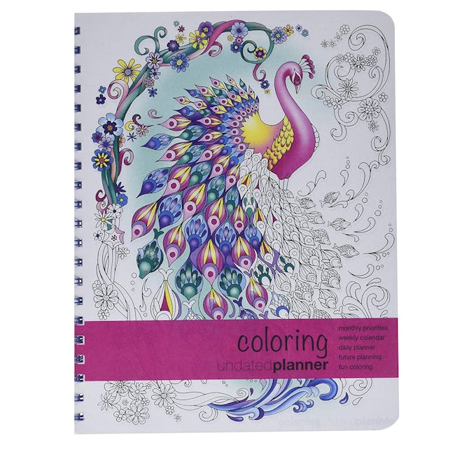 Action Publishing Undated Coloring Day Planner