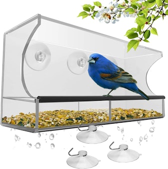 Nature's Hangout Window Bird Feeder
