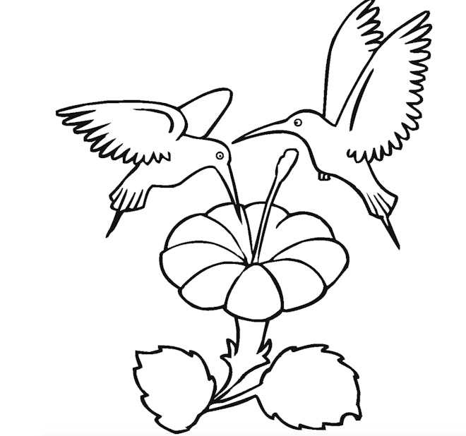 Two Sharing Hummingbirds Coloring Page