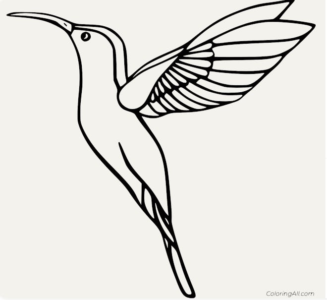 A Basic Hummingbird Coloring Page