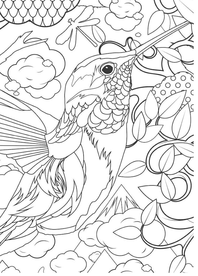 A Detailed Hummingbird Coloring Page