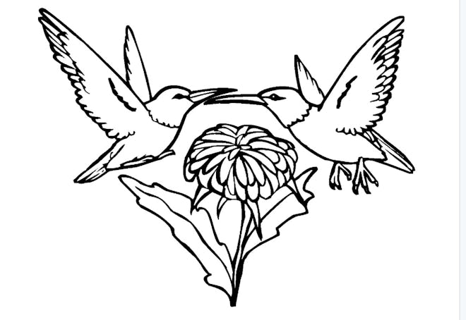 A Pair of Hummingbirds Coloring Page