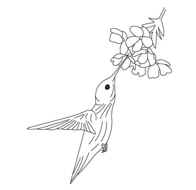 A Flowery Hummingbird Coloring Page