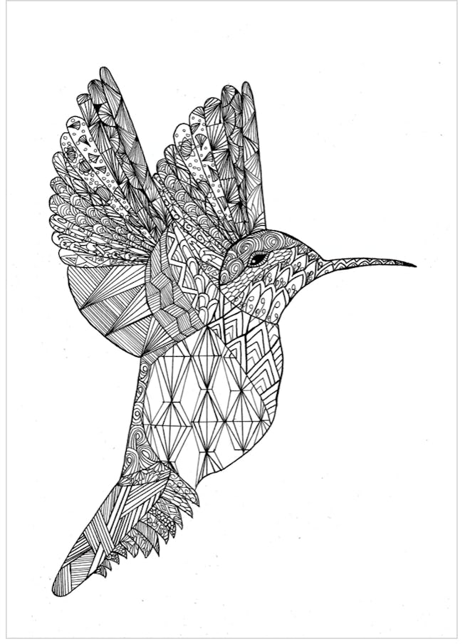 An Intricate Hummingbird Coloring Page