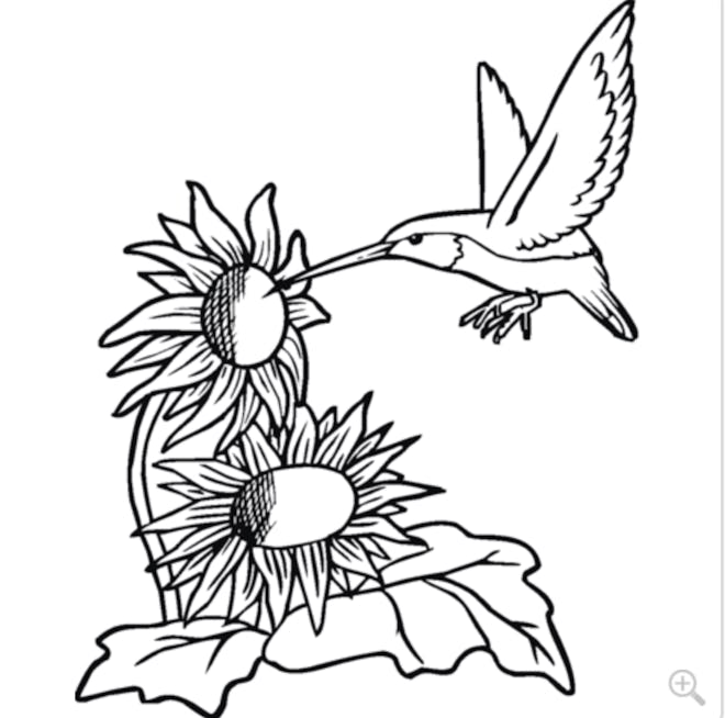 A Hummingbird with Sunflowers Coloring Page
