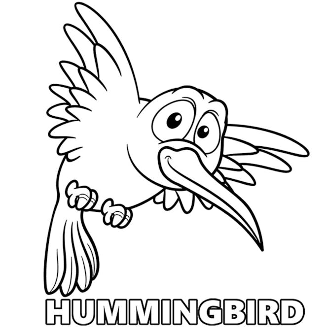 A Cartoon-esque Hummingbird Coloring Page