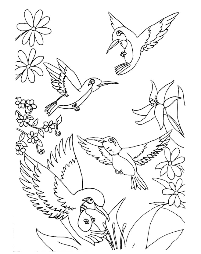A Host Of Hummingbirds Coloring Page